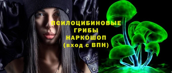 индика Абдулино