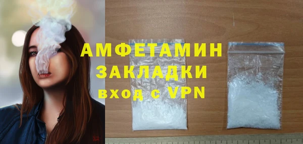 эйфоретик Няндома