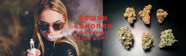 индика Абдулино