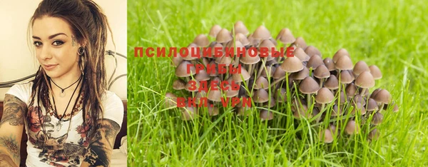 амф Абинск