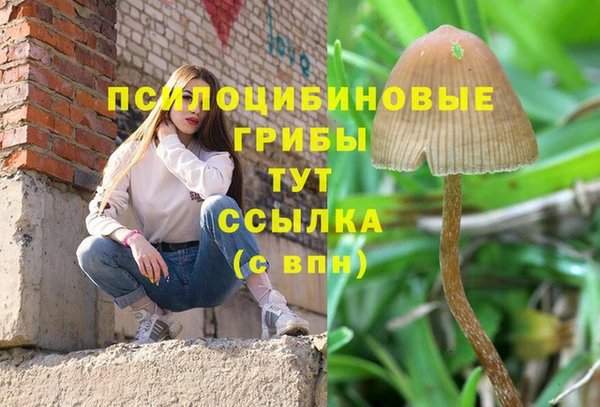 амф Абинск