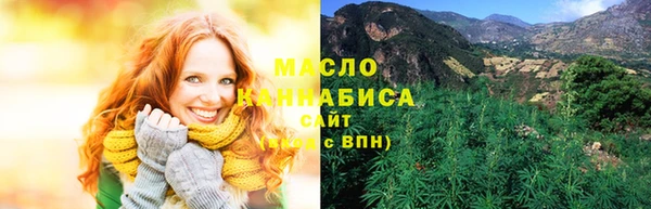 индика Абдулино